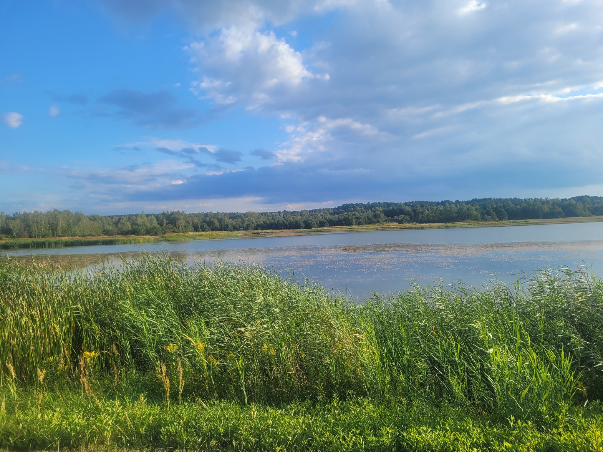 Zalew Biszcza-Żary