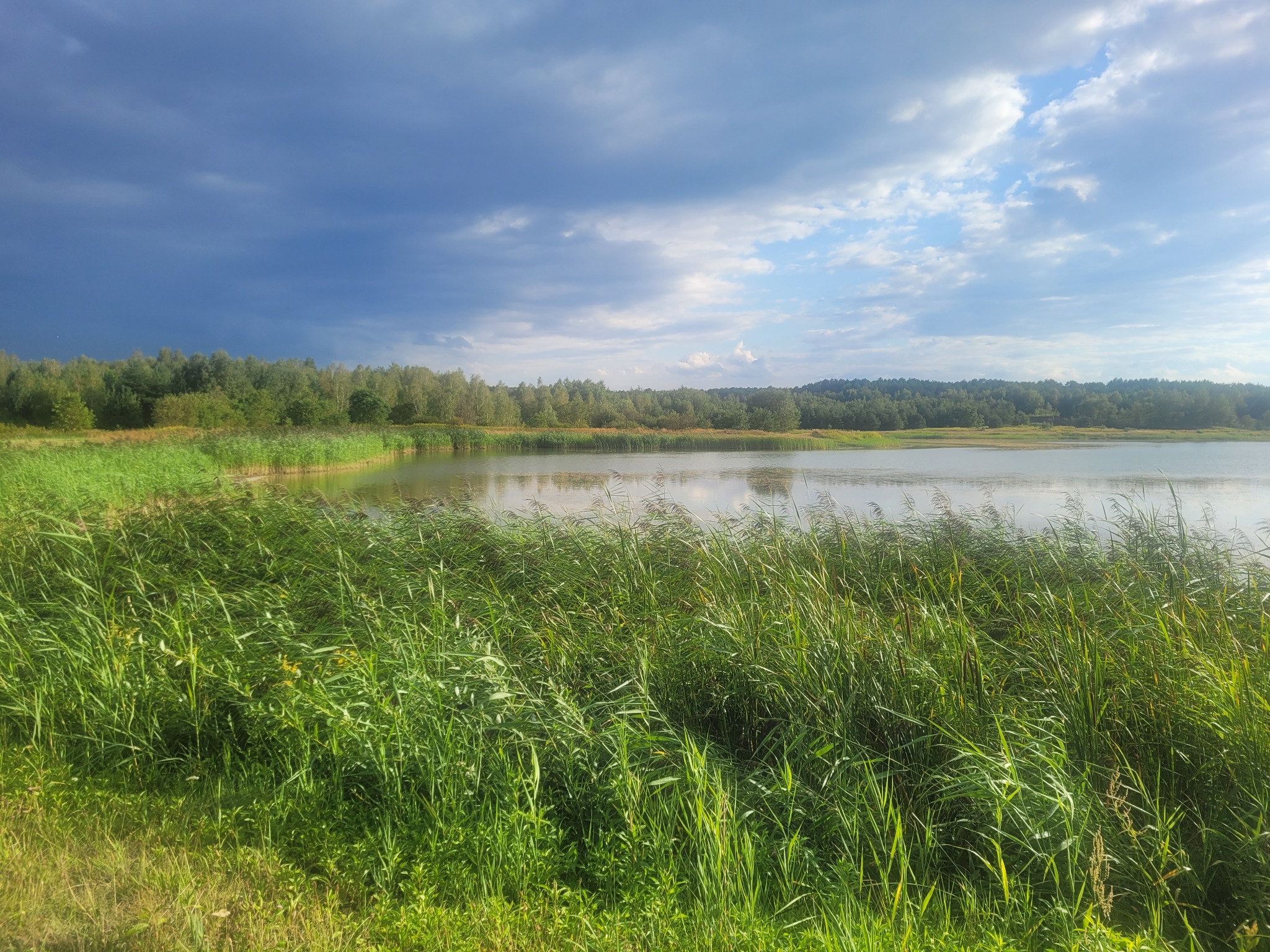 Zalew Biszcza-Żary - natura